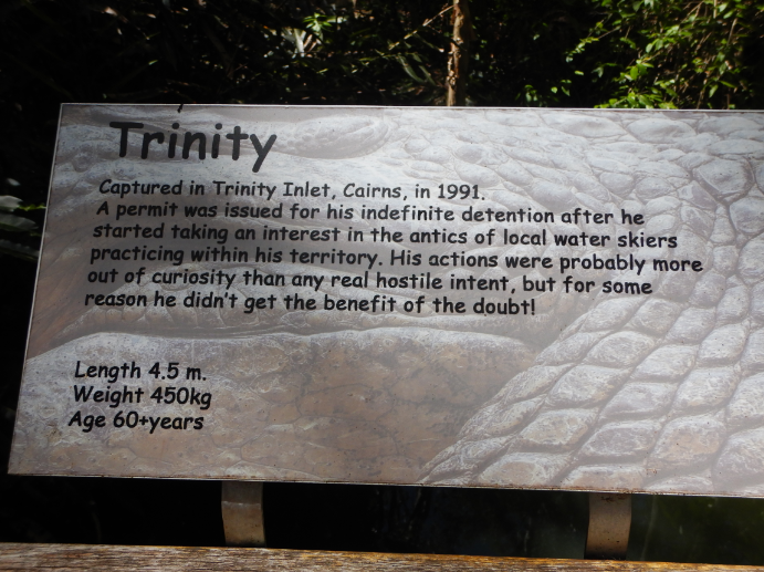 Trinity Signage