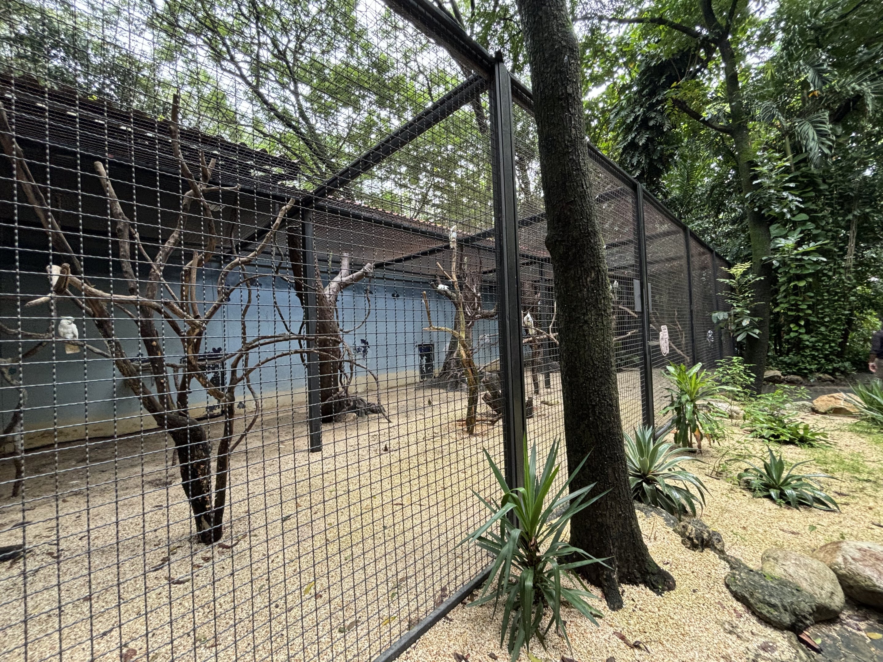 Triton Cockatoo Aviary