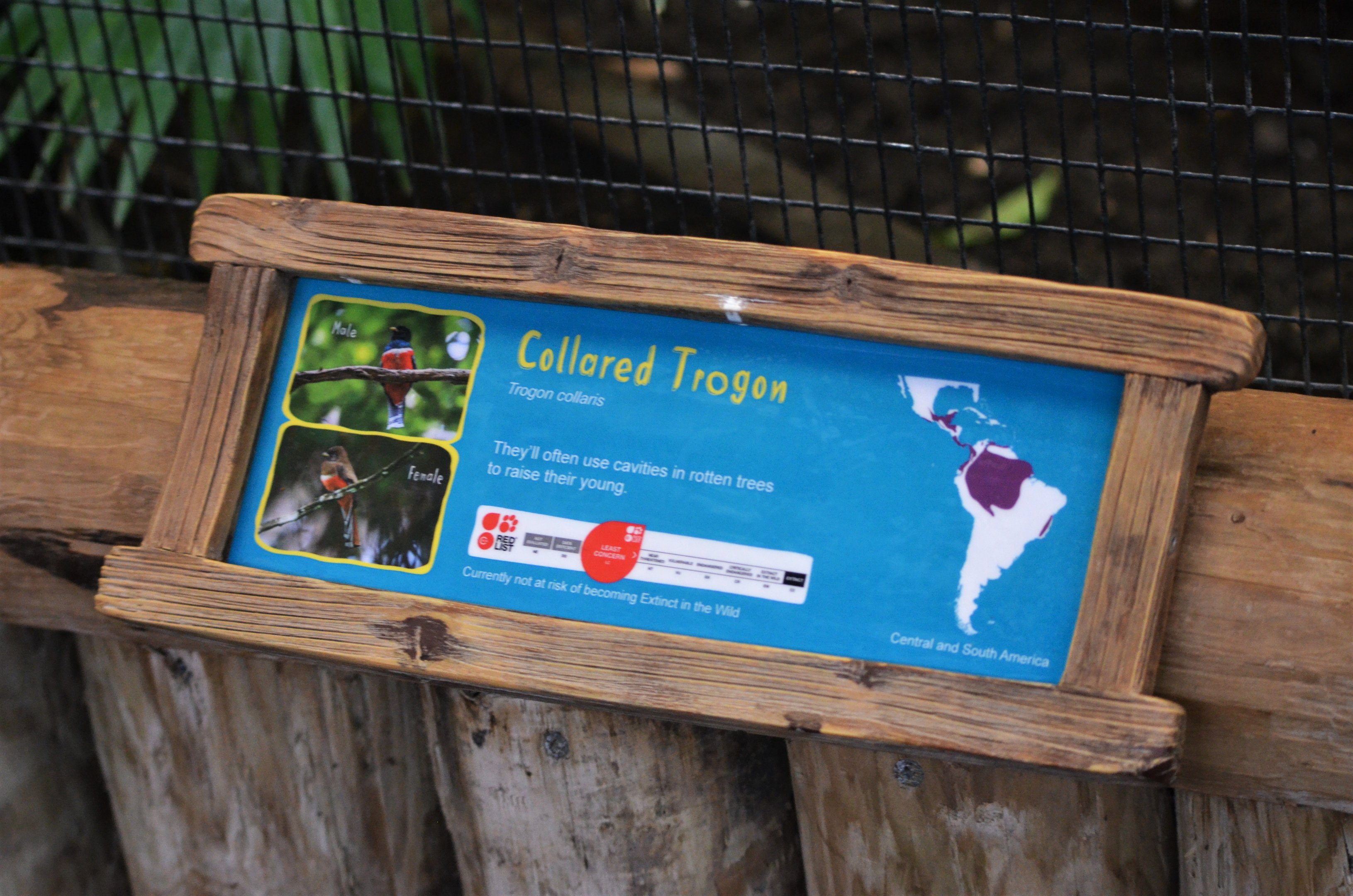 Trogon Signage at Chester, 07/04/18