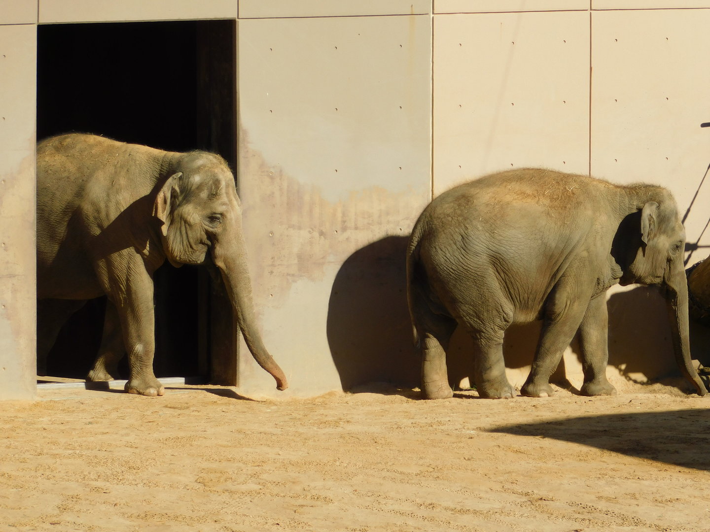 Trong Nhi and Nhi Linh
