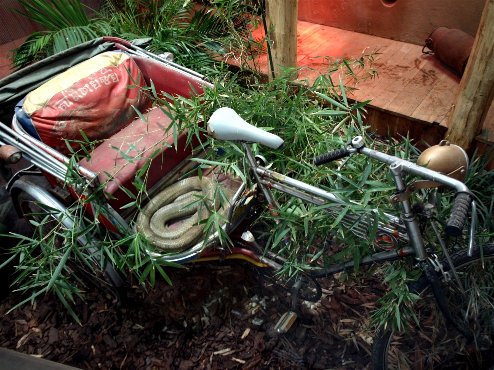 Tropen Aquarium - Cobra exhibit