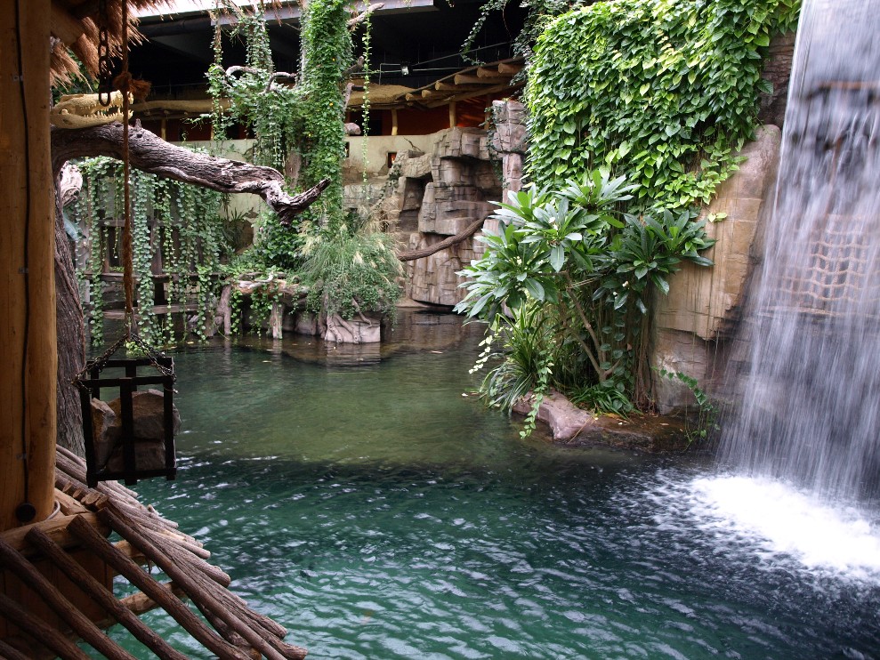 Tropen Aquarium - Crocodile exhibit