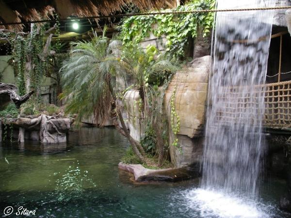 Tropen-Aquarium Hagenbeck Hamburg 2008