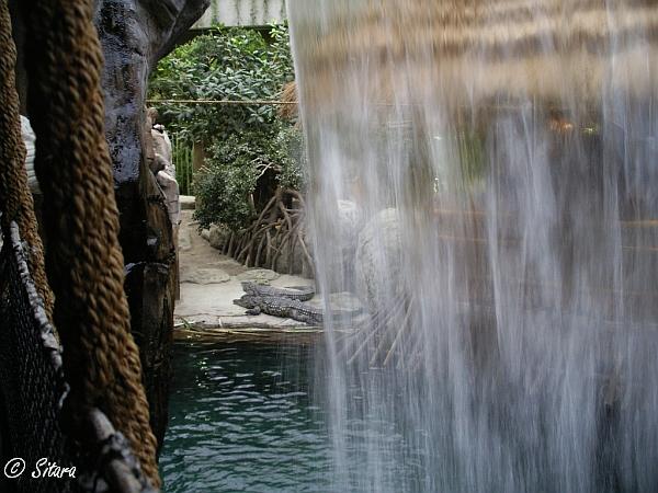 Tropen-Aquarium Hagenbeck Hamburg