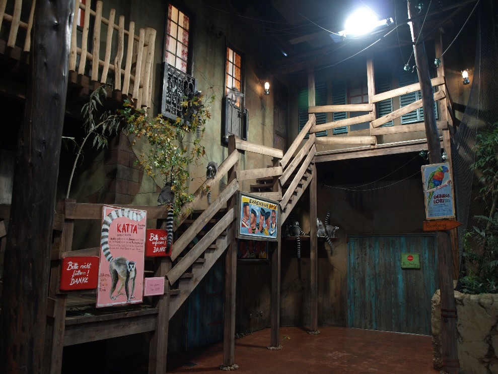 Tropen Aquarium - Lemur exhibit