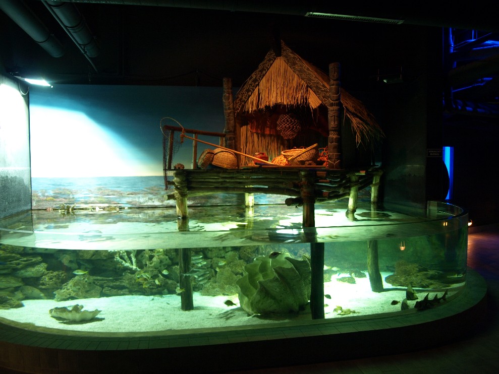 Tropen Aquarium - Tropical sea aquarium
