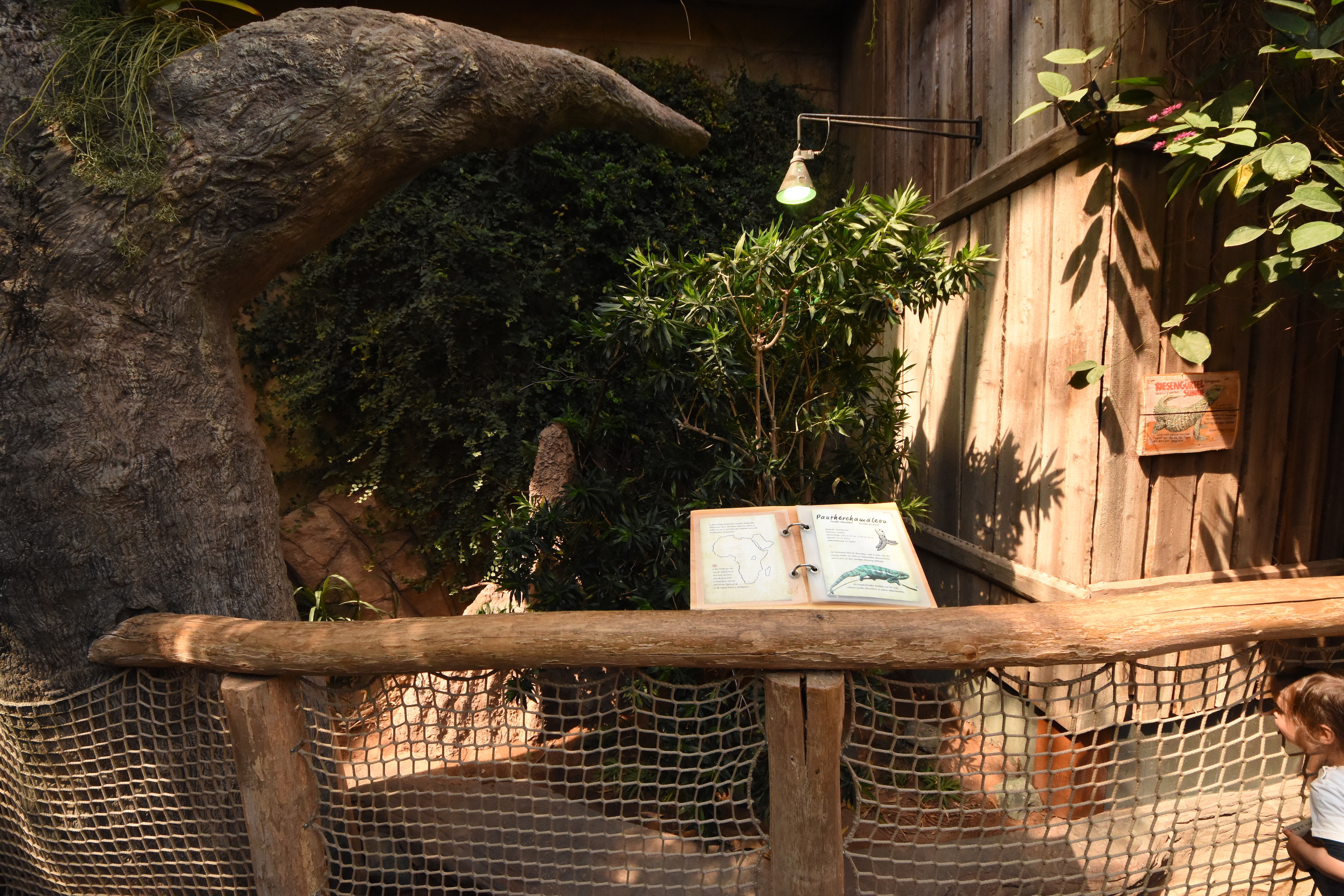 Tropenaquarium - African enclosure