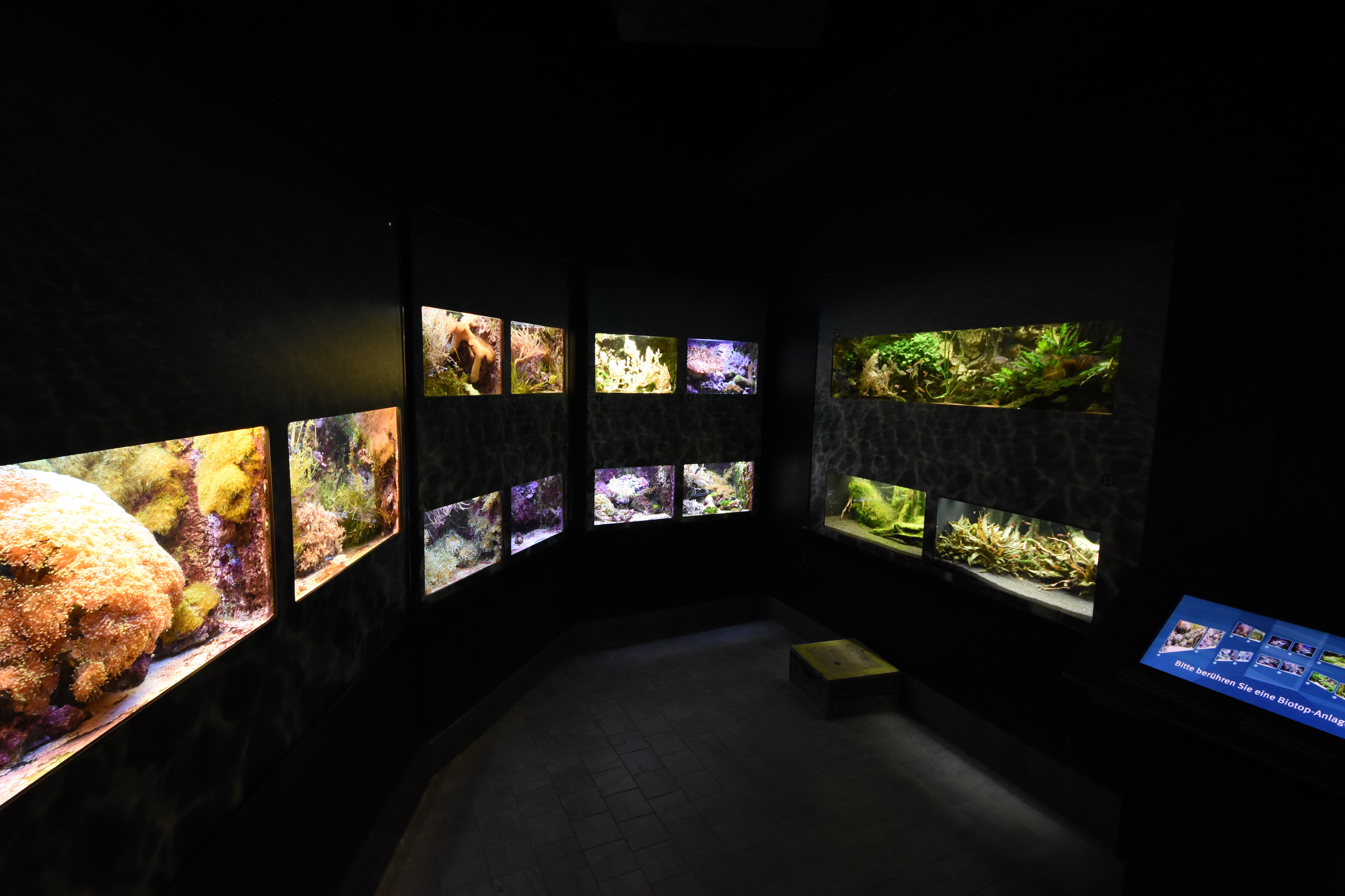 Tropenaquarium - Arrangement of small tank