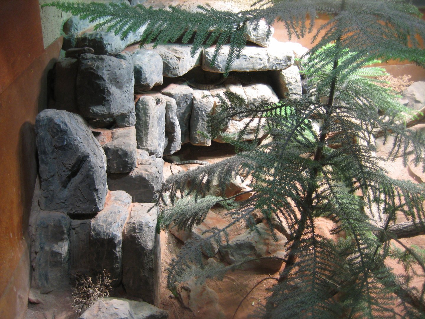 Tropenaquarium Hagenbeck - Australian exhibit