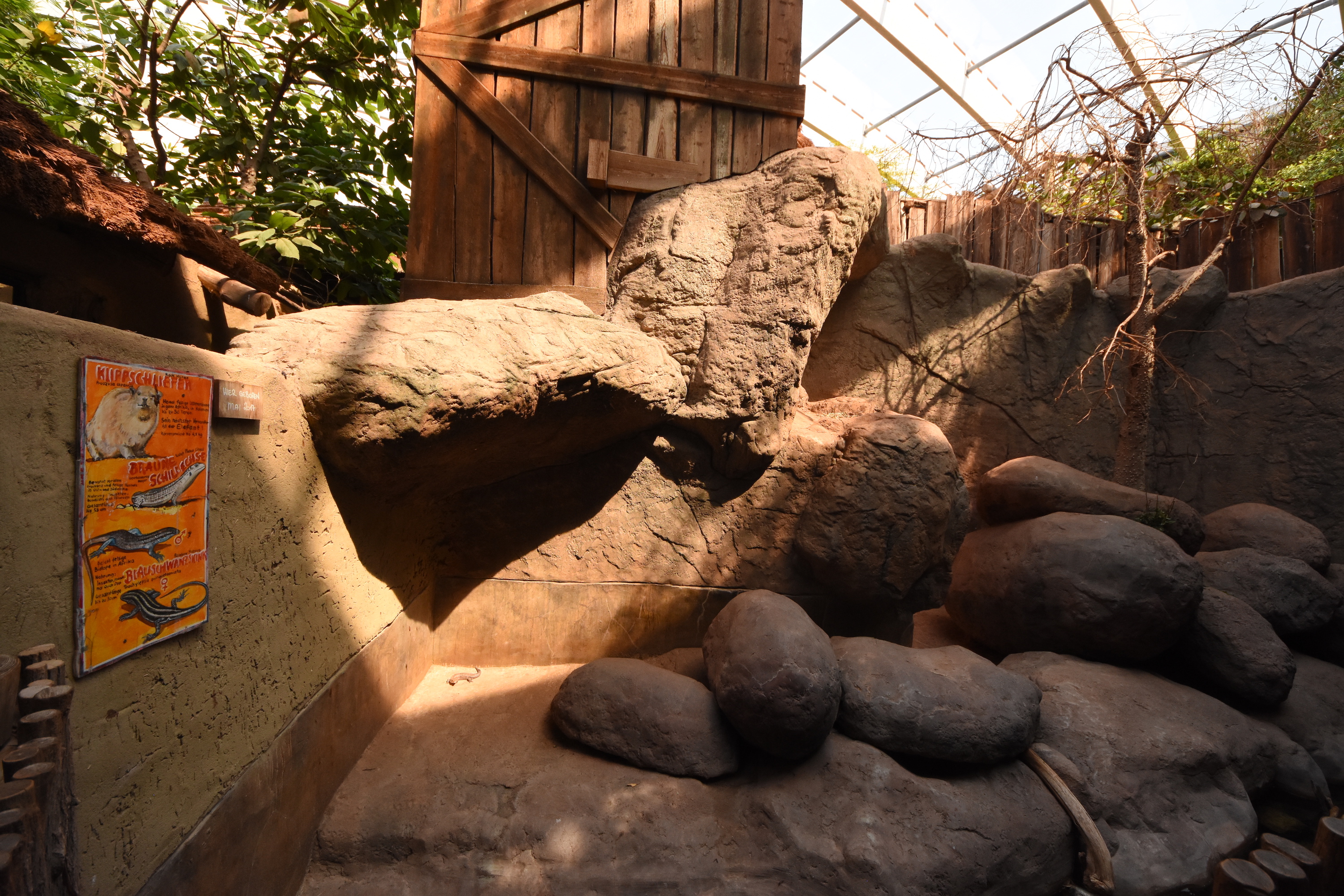 Tropenaquarium - Hyrax enclosure