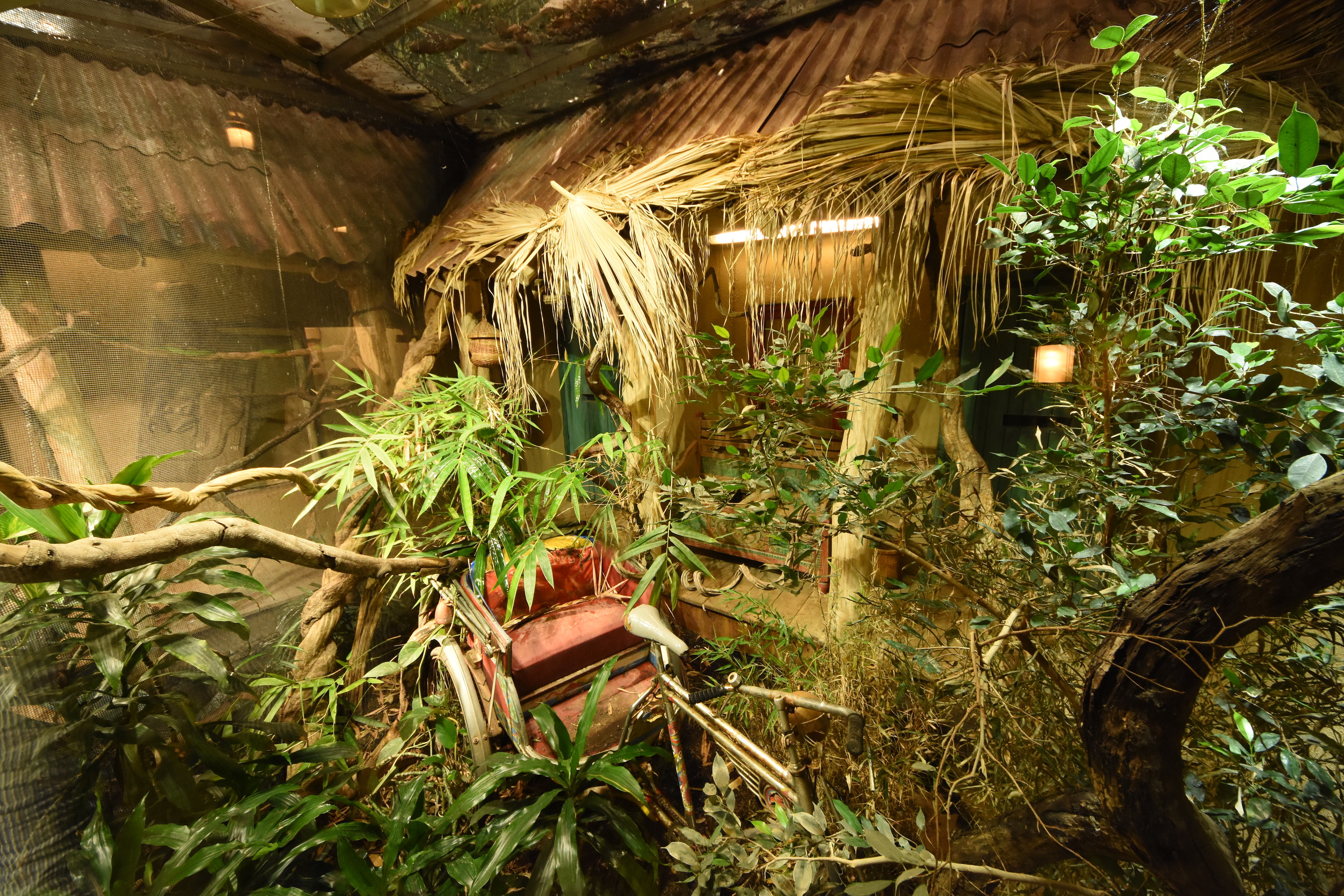 Tropenaquarium - King cobra terrarium