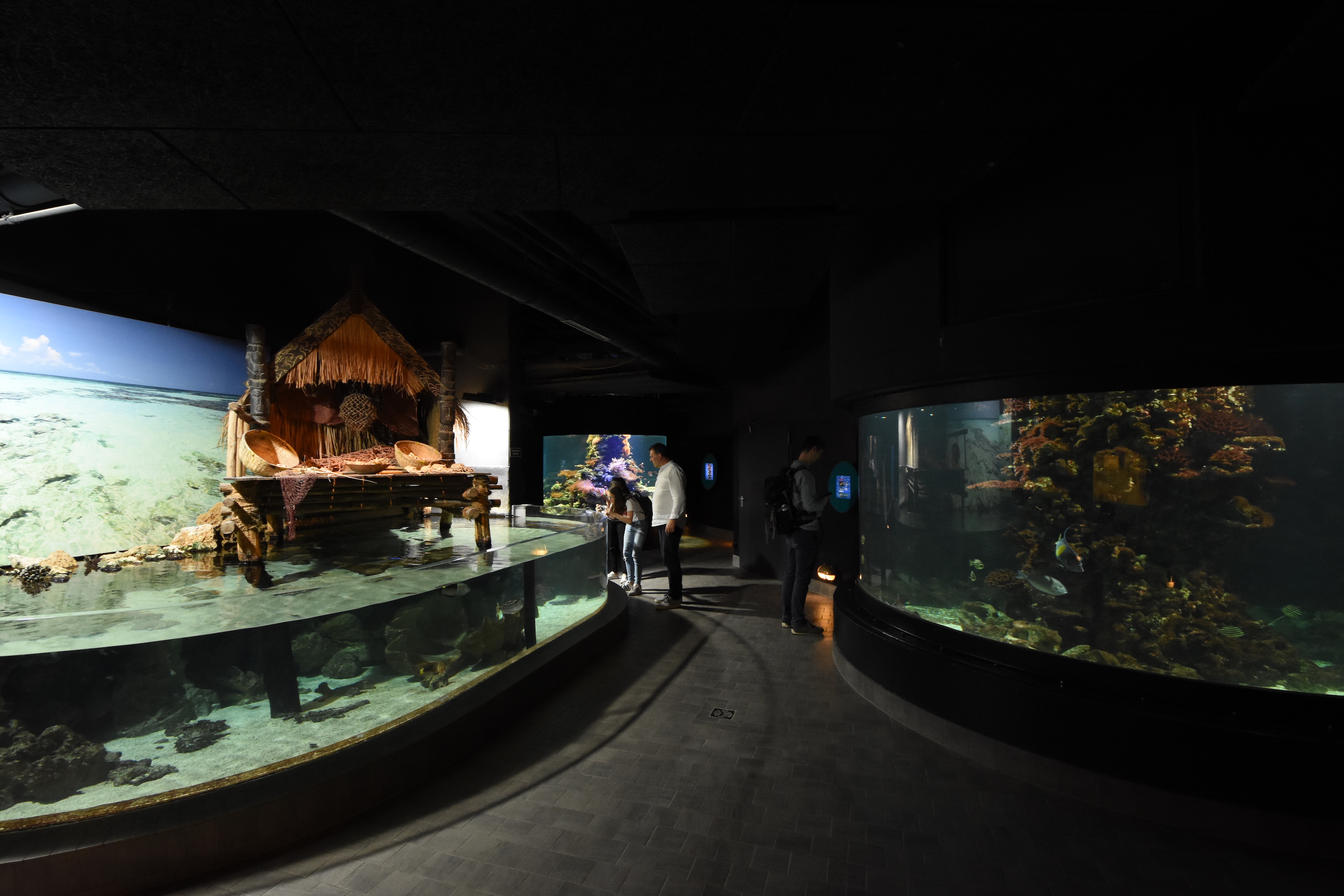 Tropenaquarium - Overview