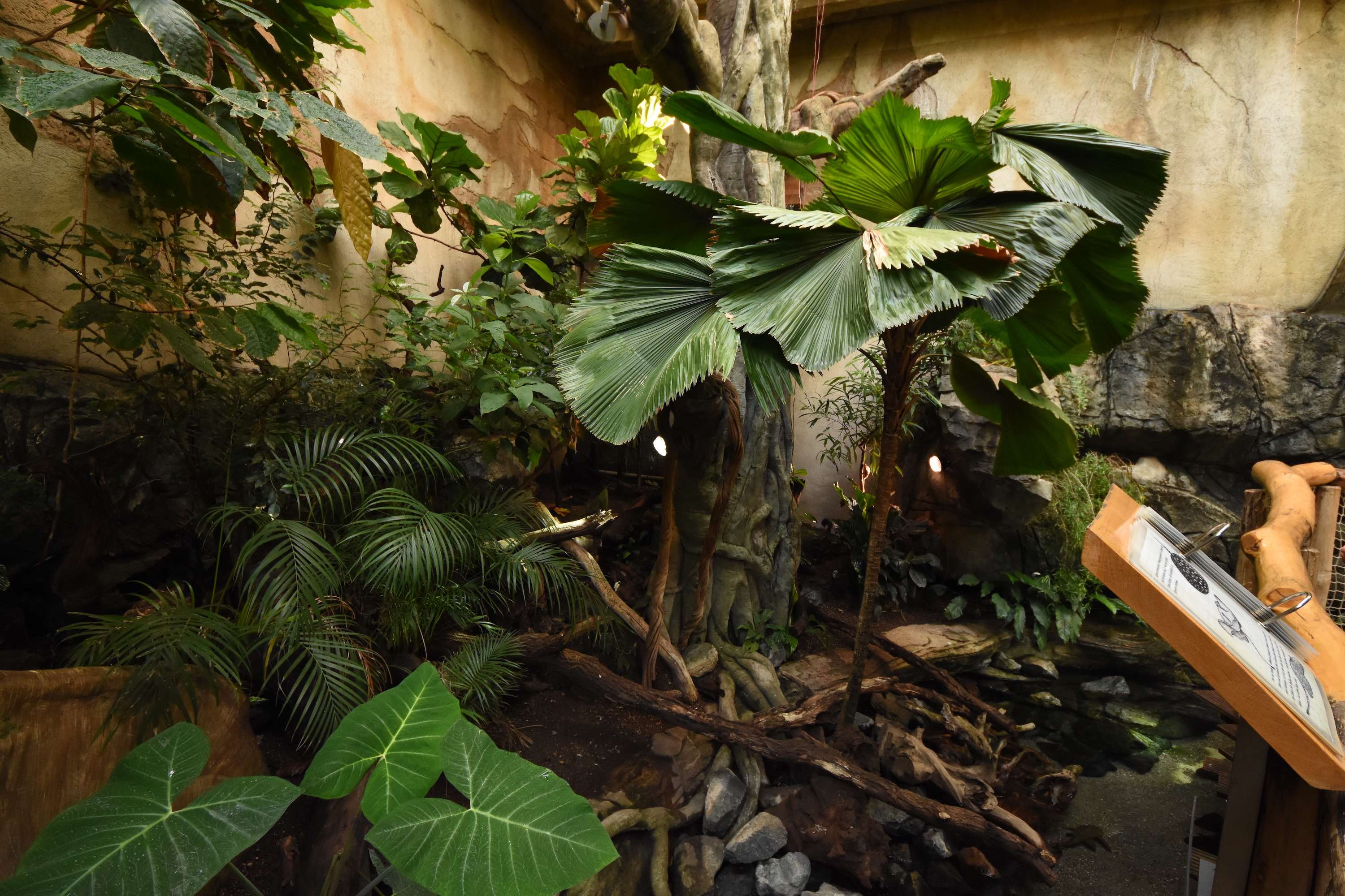 Tropenaquarium - S-American enclosure