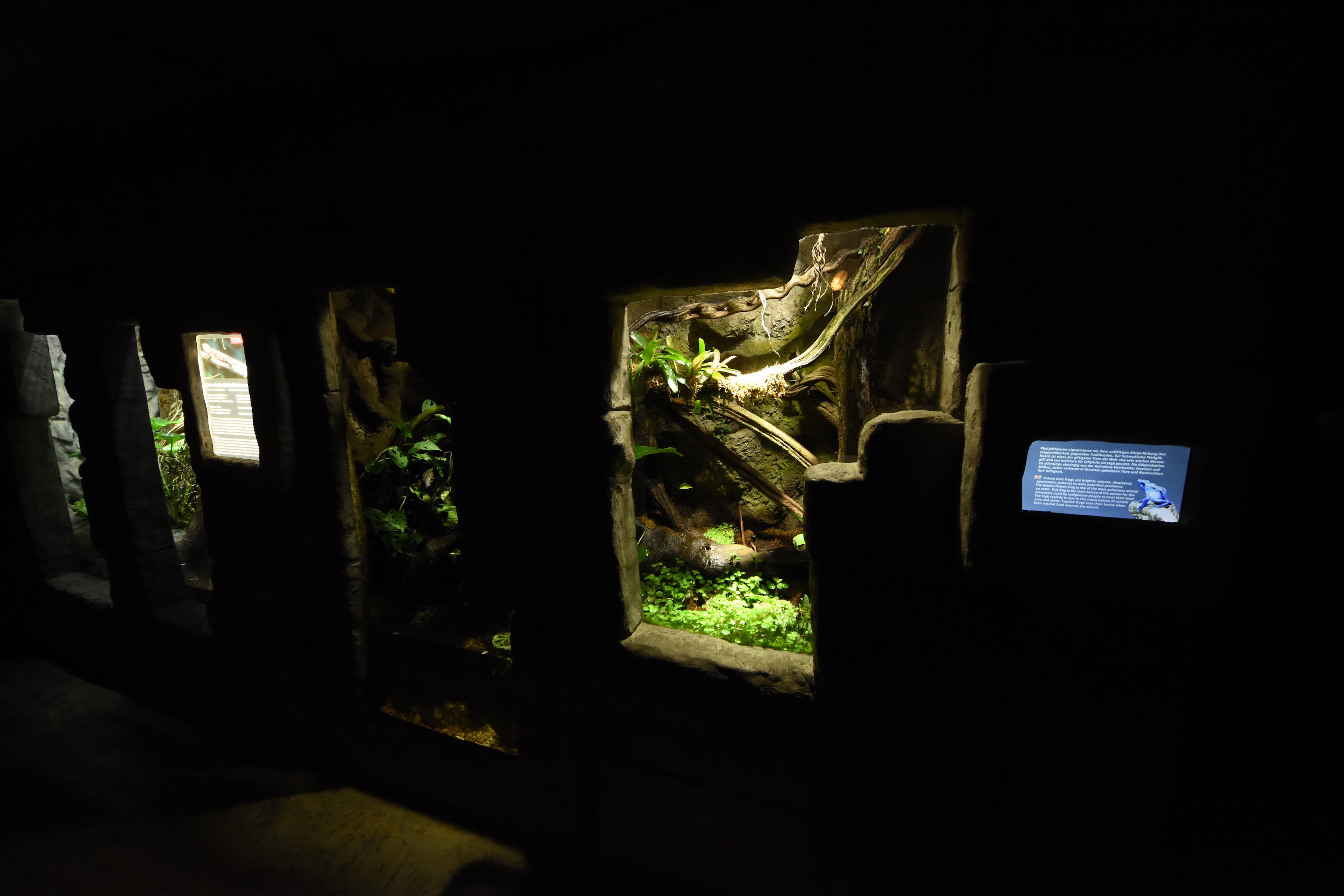 Tropenaquarium -Small terraria