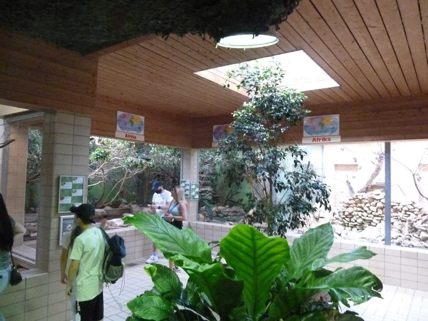 Tropenhalle (birdhouse) - African aviaries