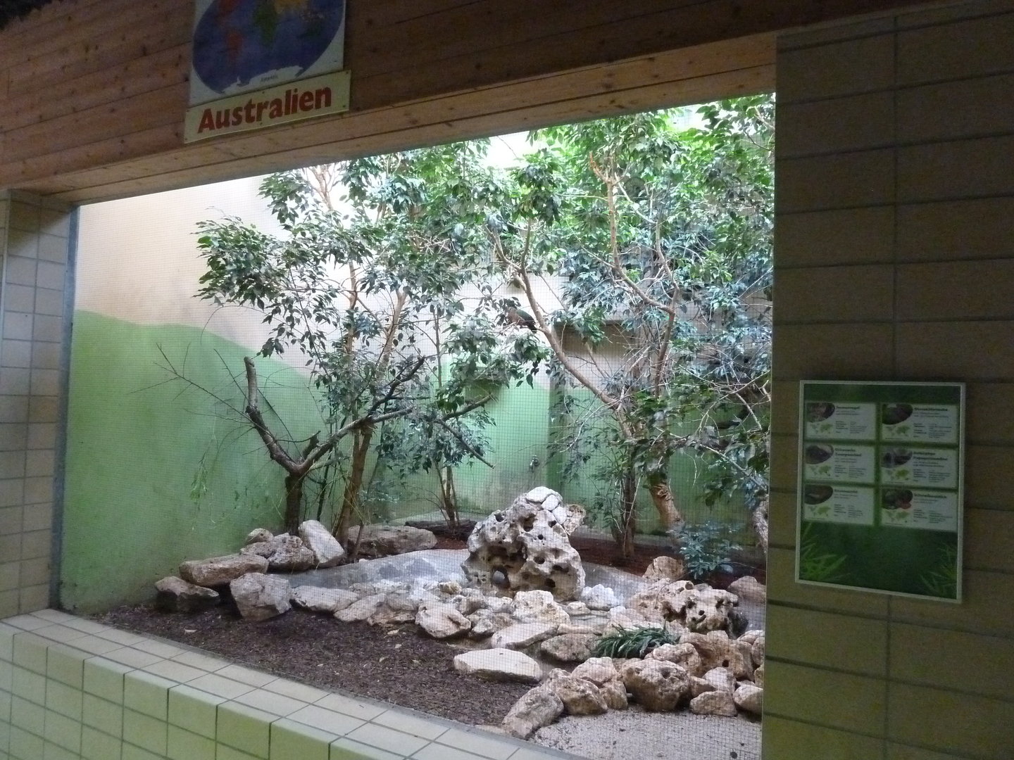 Tropenhalle (birdhouse) - Australia aviary