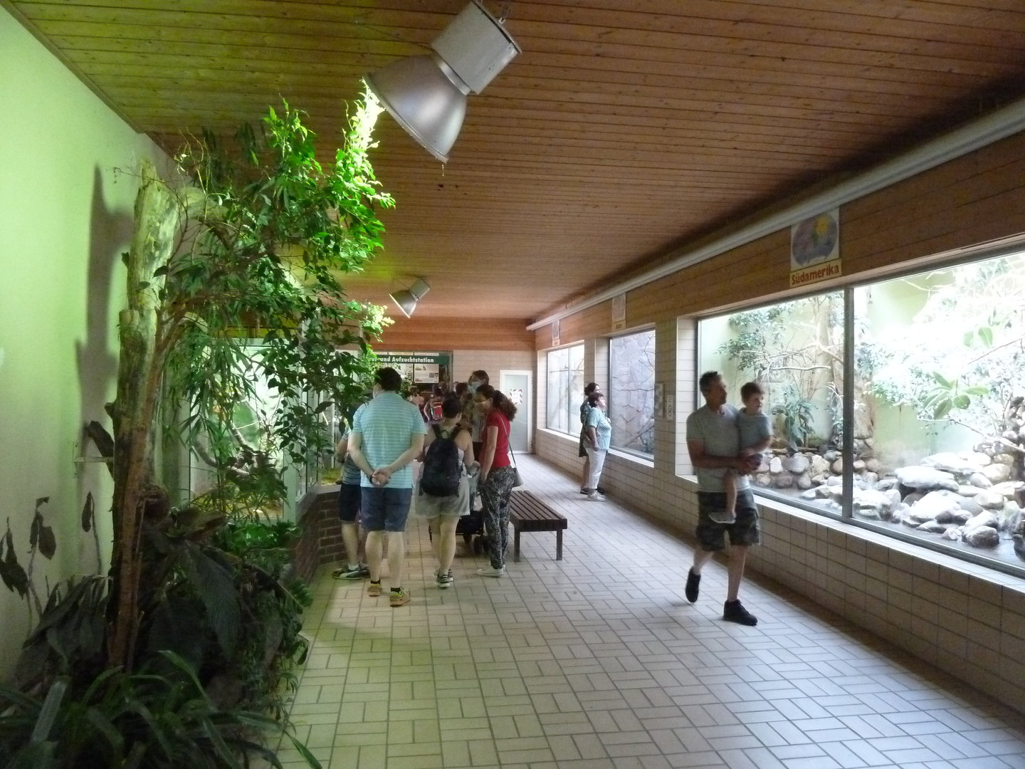 Tropenhalle (birdhouse) - left wing