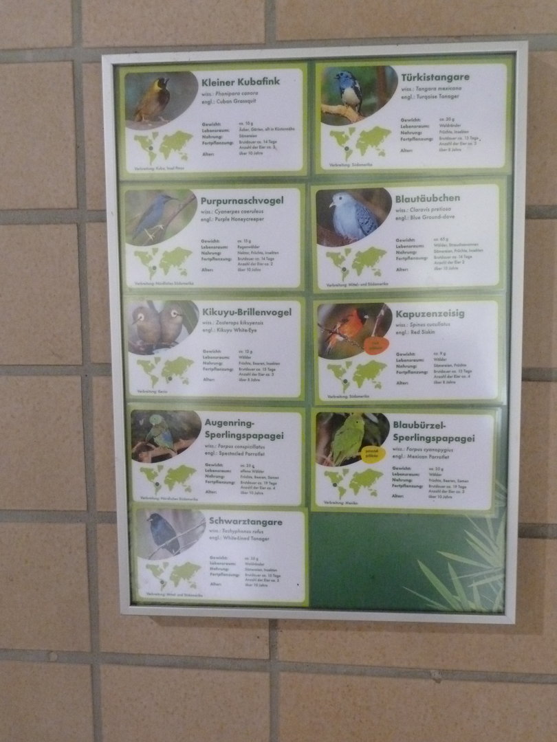 Tropenhalle (birdhouse) - South America aviary