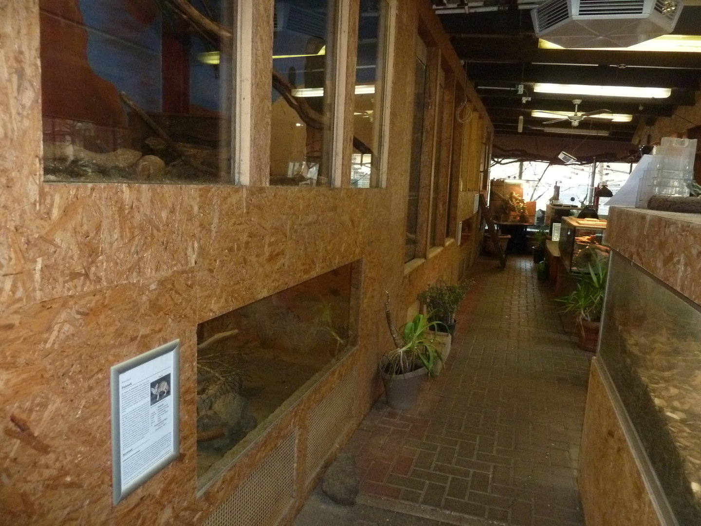 Tropenhalle - Interior