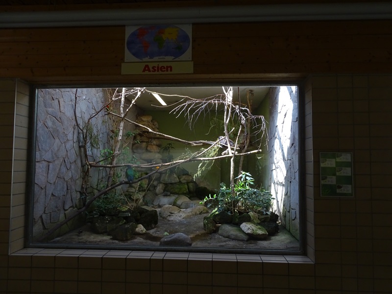 TropenHaus : Asian enclosure
