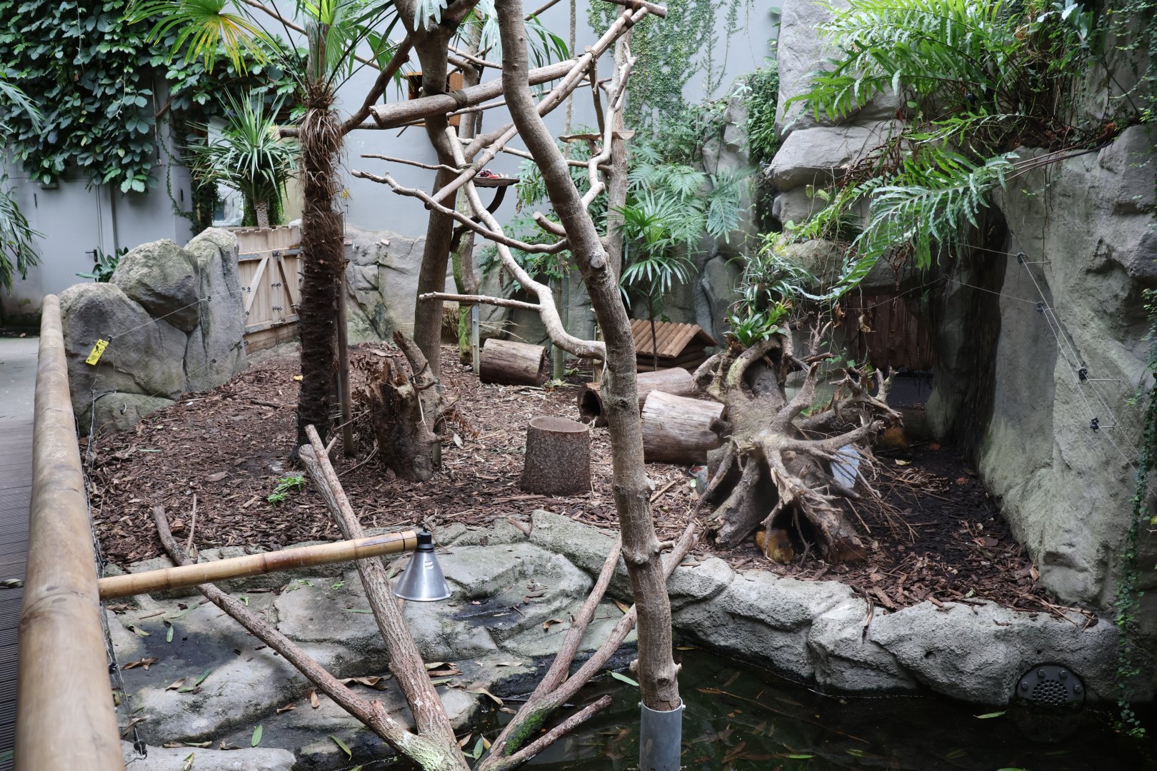 Tropenhaus - Cuban Slider exhibit