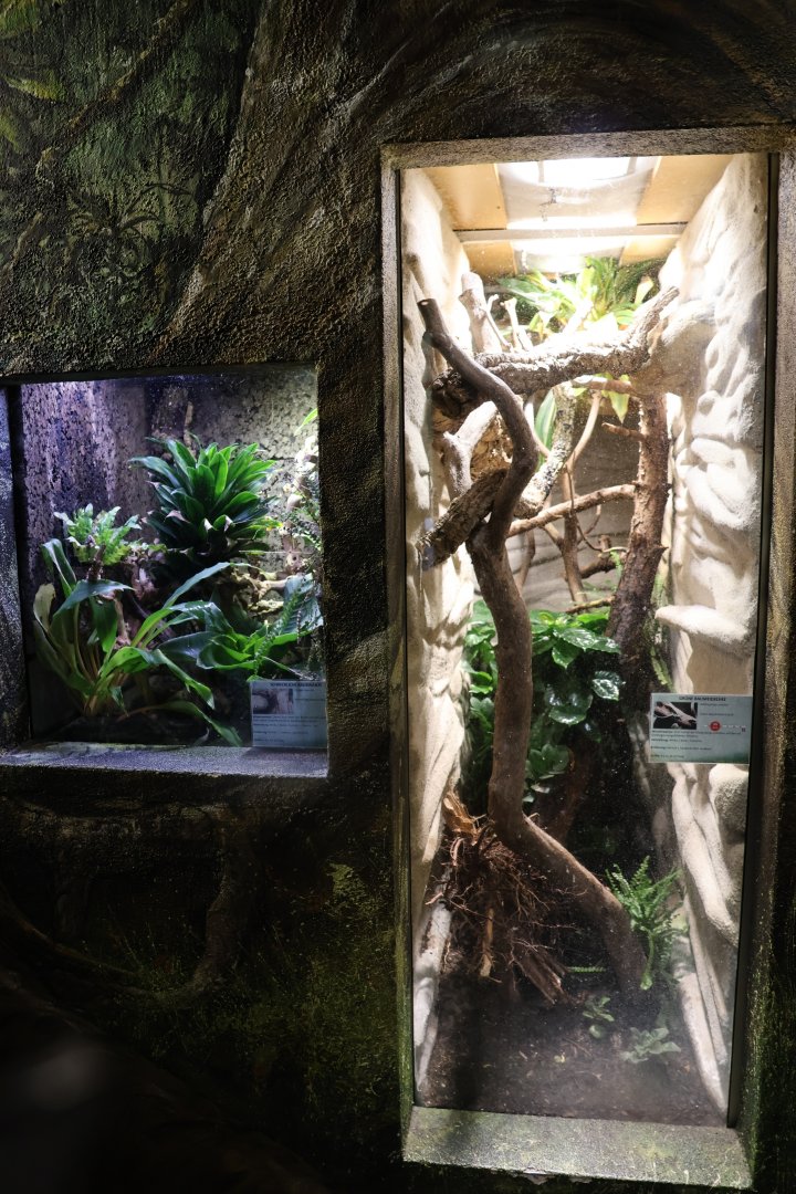 Tropenhaus - Entrance room - Terrariums