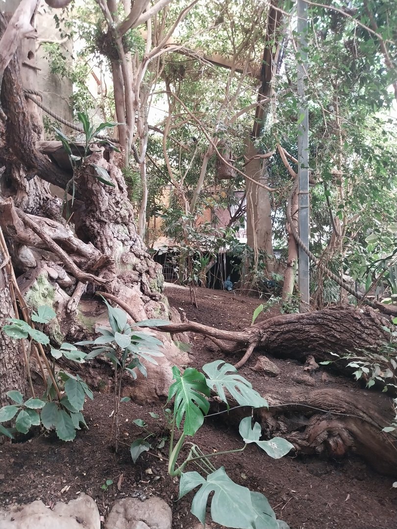 Tropenhaus - Lower section - General view