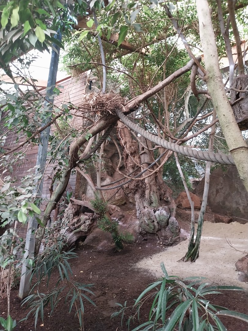 Tropenhaus - Lower section - General view