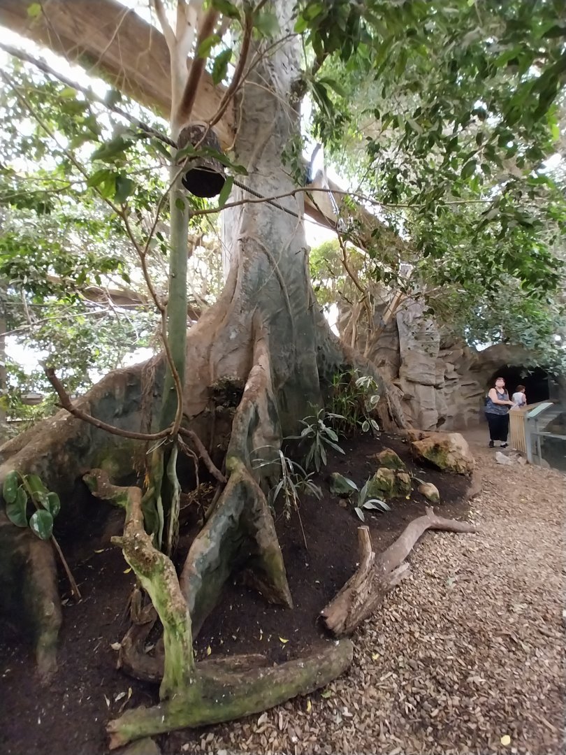 Tropenhaus - Middle section - Artificial tree