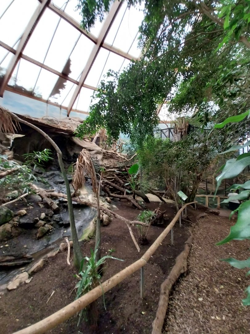 Tropenhaus - Middle section - General view