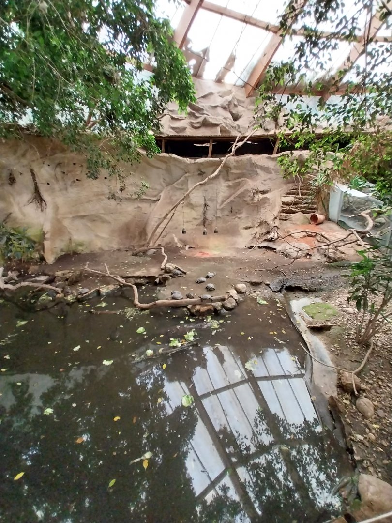 Tropenhaus - Middle section - Pond