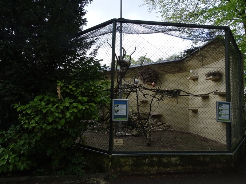 Tropenhaus: Outdoor aviary for egrets, hamerkop and spoonbills
