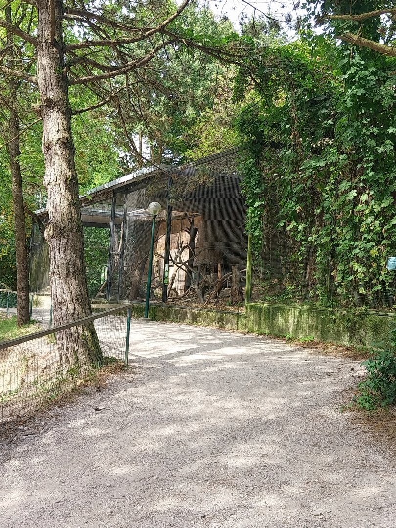 Tropenhaus - Outside aviaries
