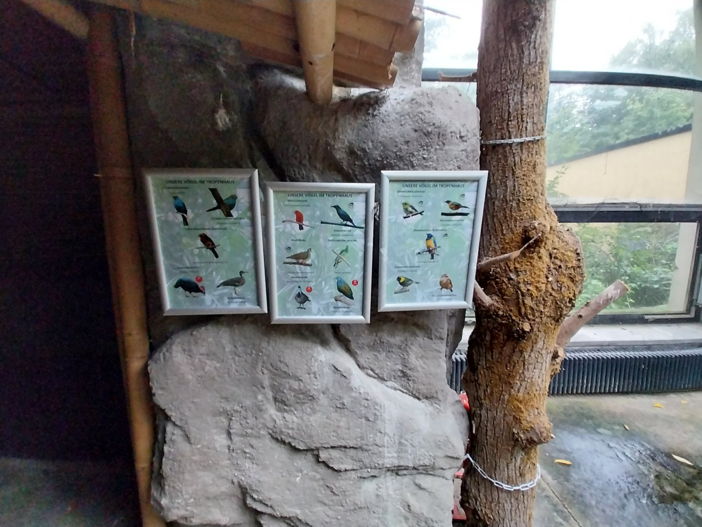 Tropenhaus - Species sign free roamers