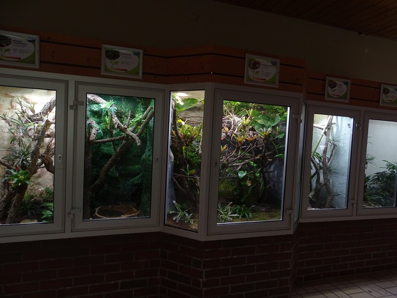 Tropenhaus: Terraria