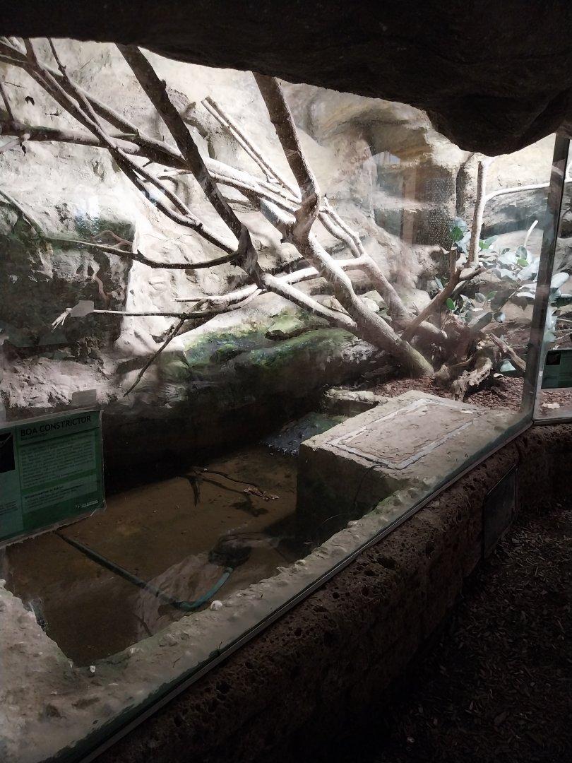 Tropenhaus - Upper section - Boa constrictor enclosure