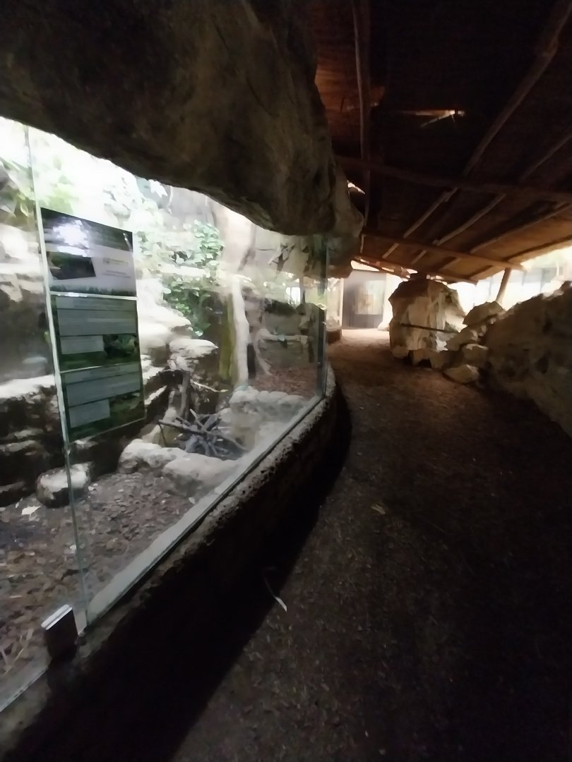 Tropenhaus - Upper section - Reptiles