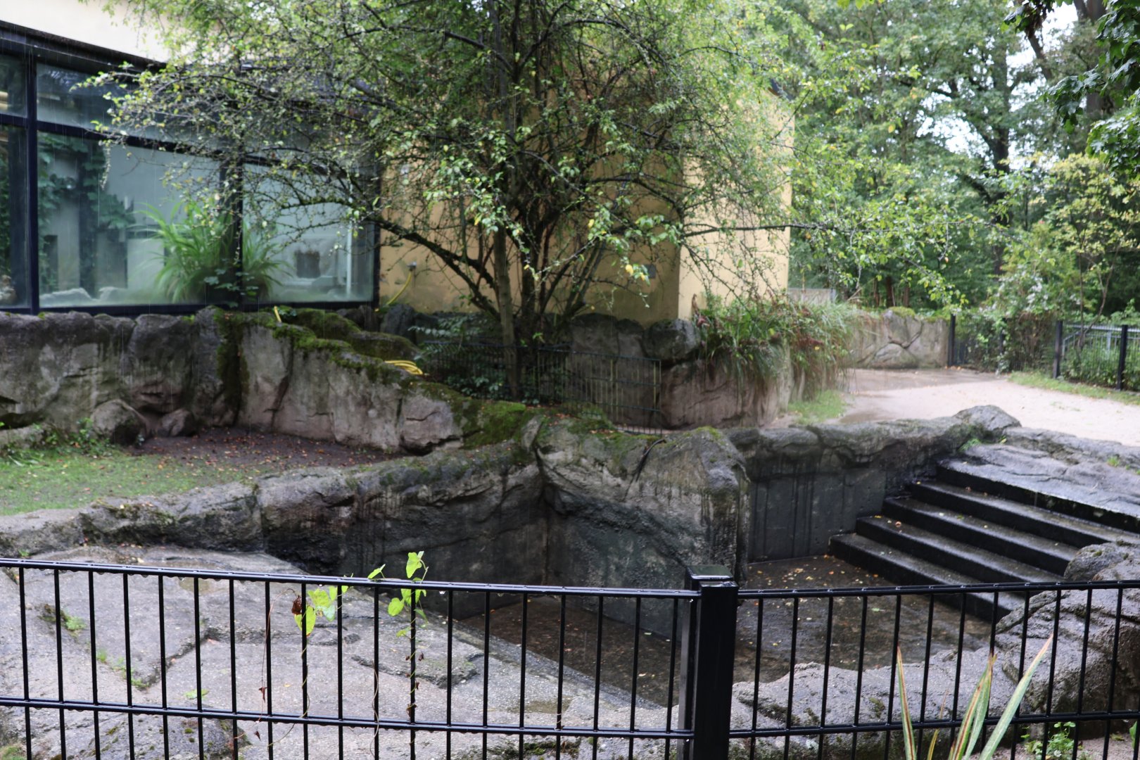 Tropenhaus - Western Pygmy Hippo enclosure