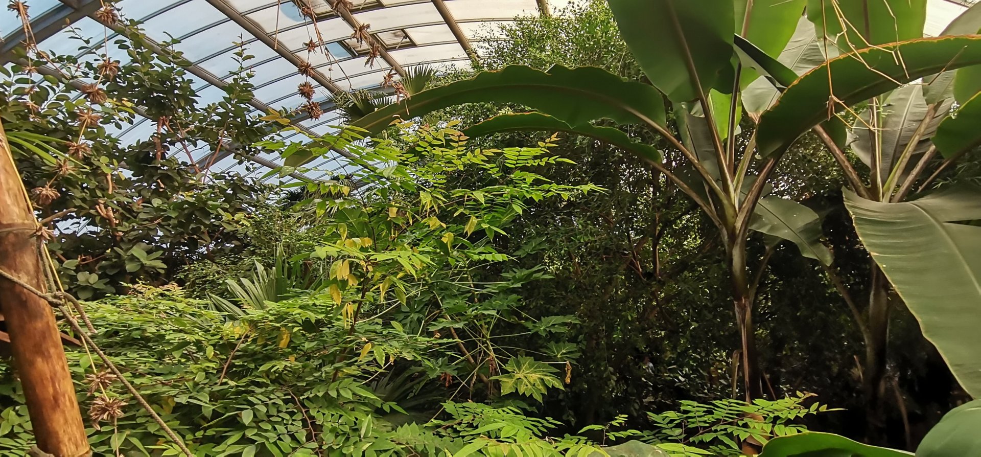 Tropenhaus