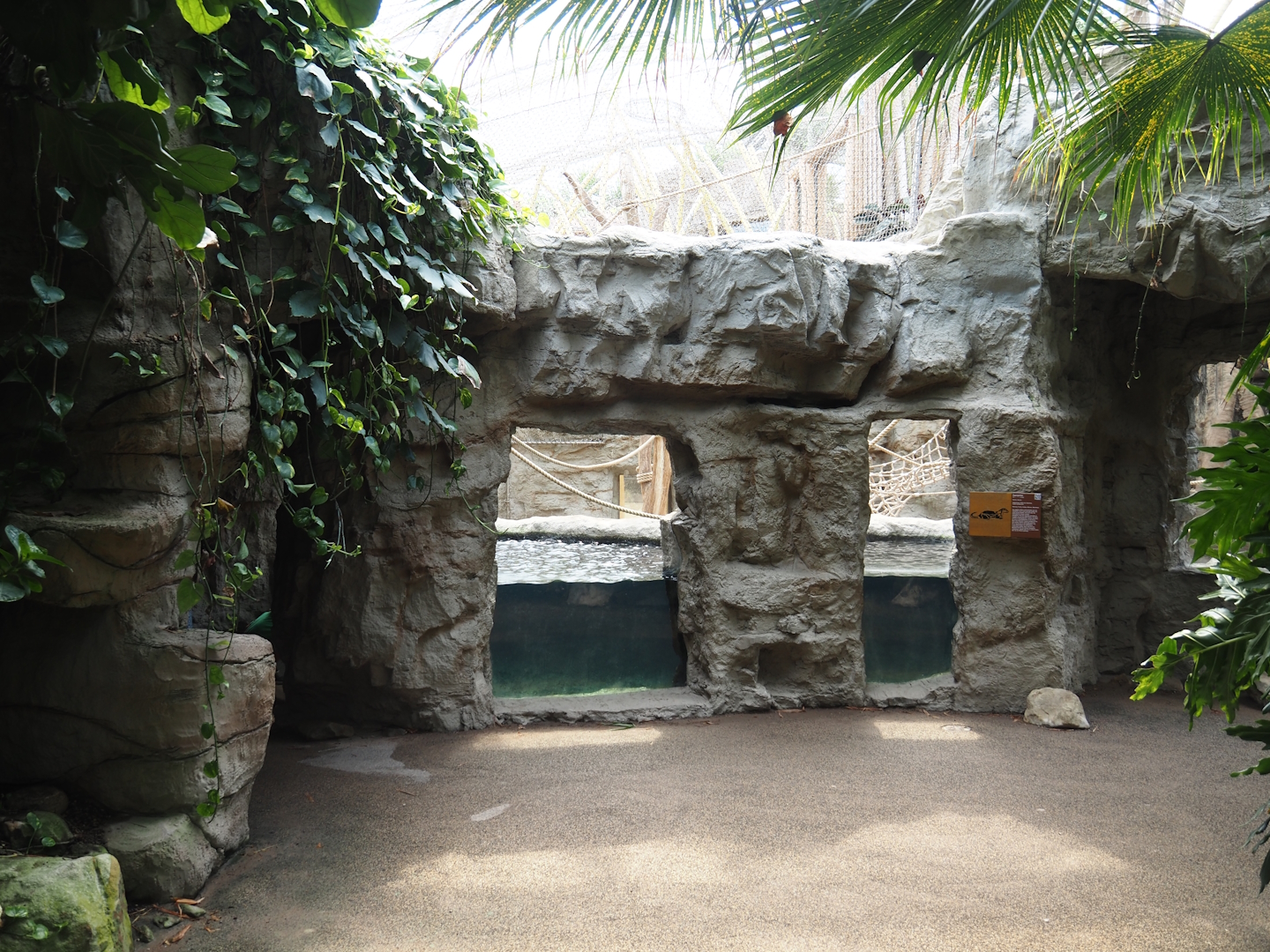 Tropenparadies/Asian greenhouse - Asian small-clawed otter pool and primate indoor exhibit, 2024-08-05