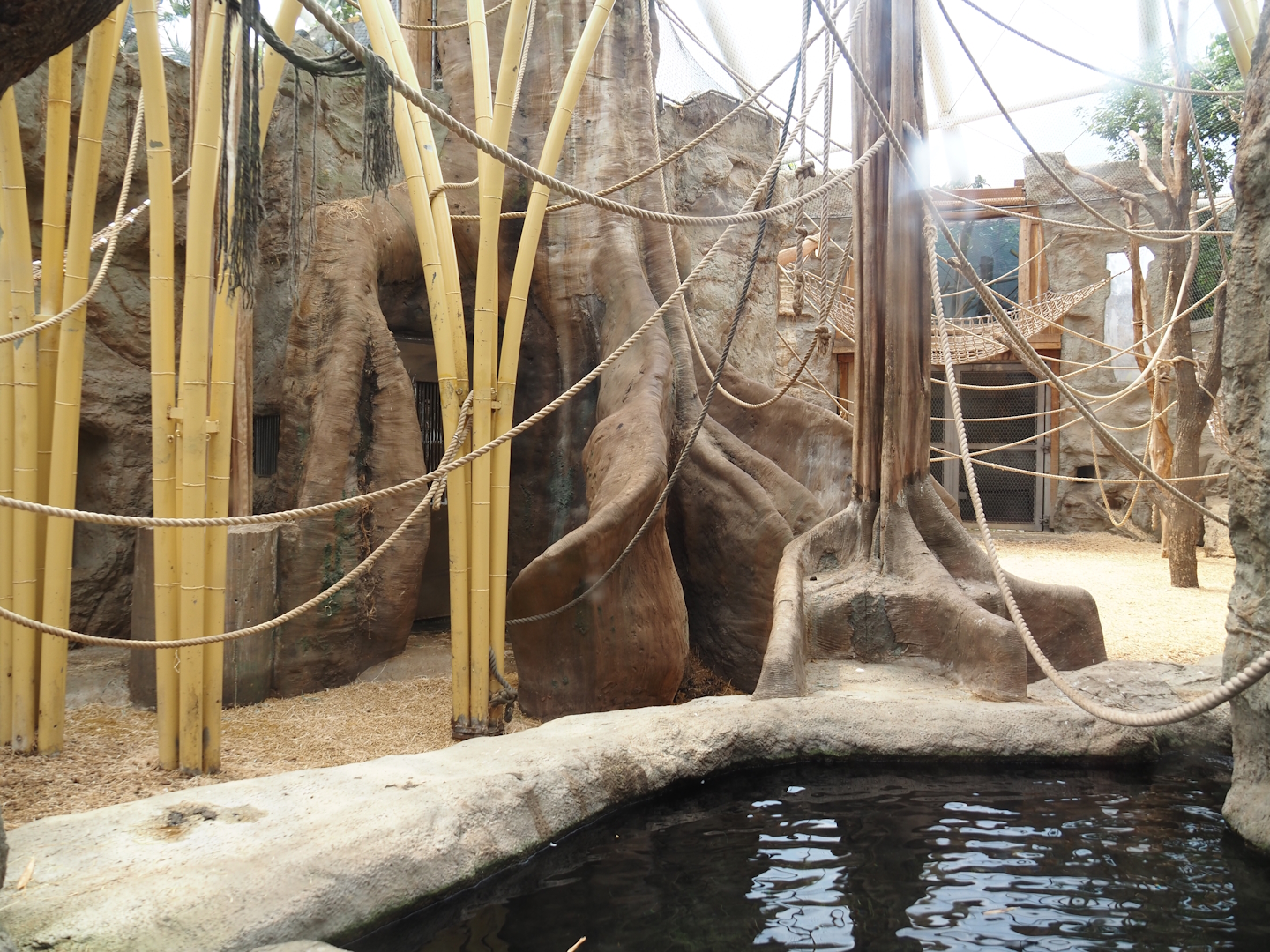 Tropenparadies/Asian greenhouse - Asian small-clawed otter pool and primate indoor exhibit, 2024-08-05