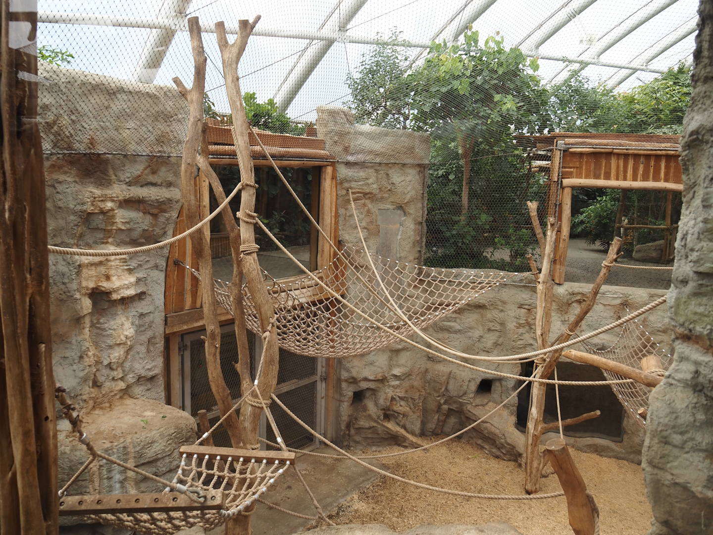 Tropenparadies/Asian greenhouse - Asian small-clawed otter, Sumatran orangutan and Hanuman langur indoor exhibit, 2024-08-05
