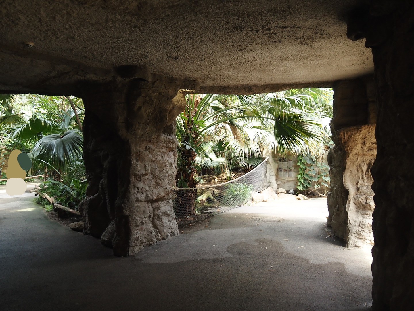 Tropenparadies/Asian greenhouse - Covered area near slow loris exhibit, 2024-08-05