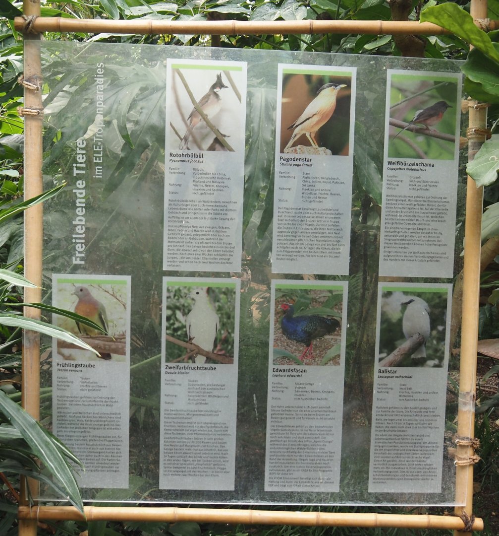 Tropenparadies/Asian greenhouse - Signage for free-ranging birds, 2024-08-05