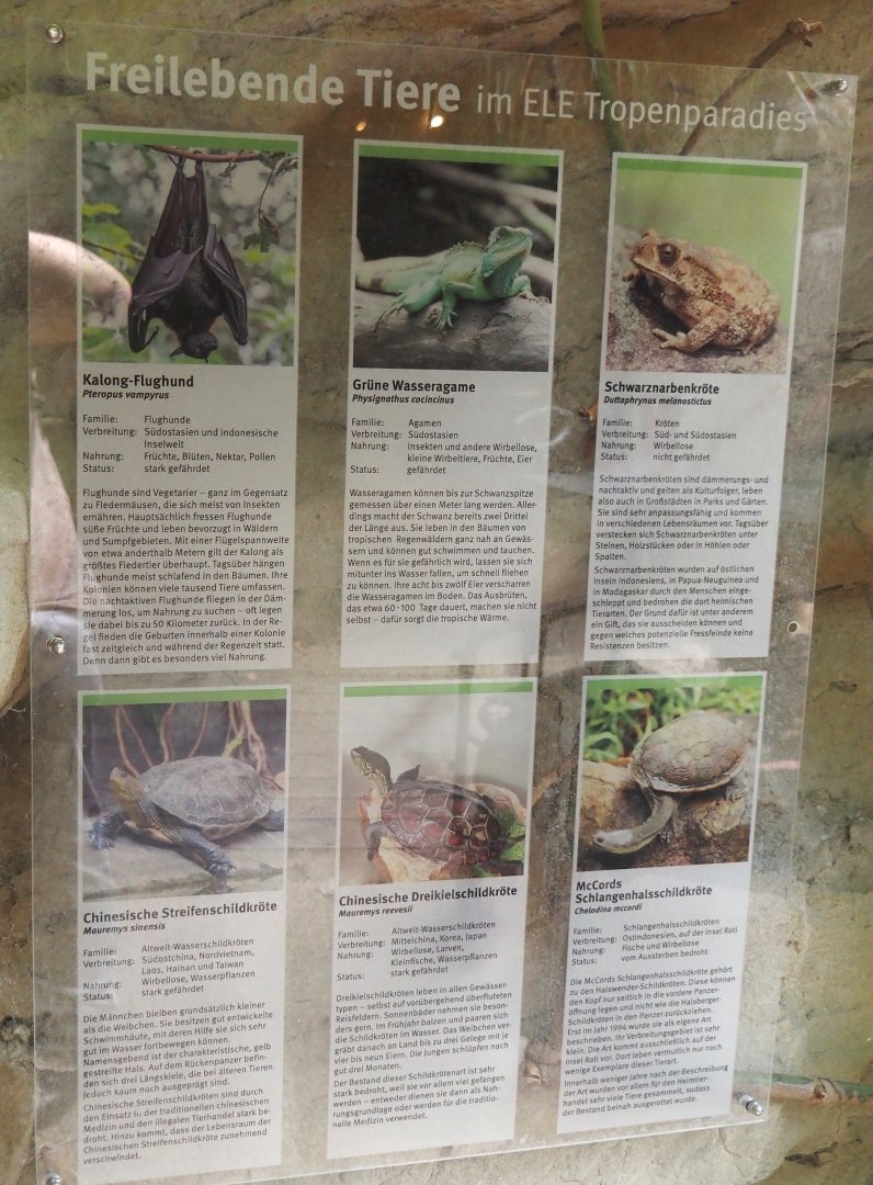 Tropenparadies/Asian greenhouse - Signage for free-ranging mammals and herps, 2024-08-05