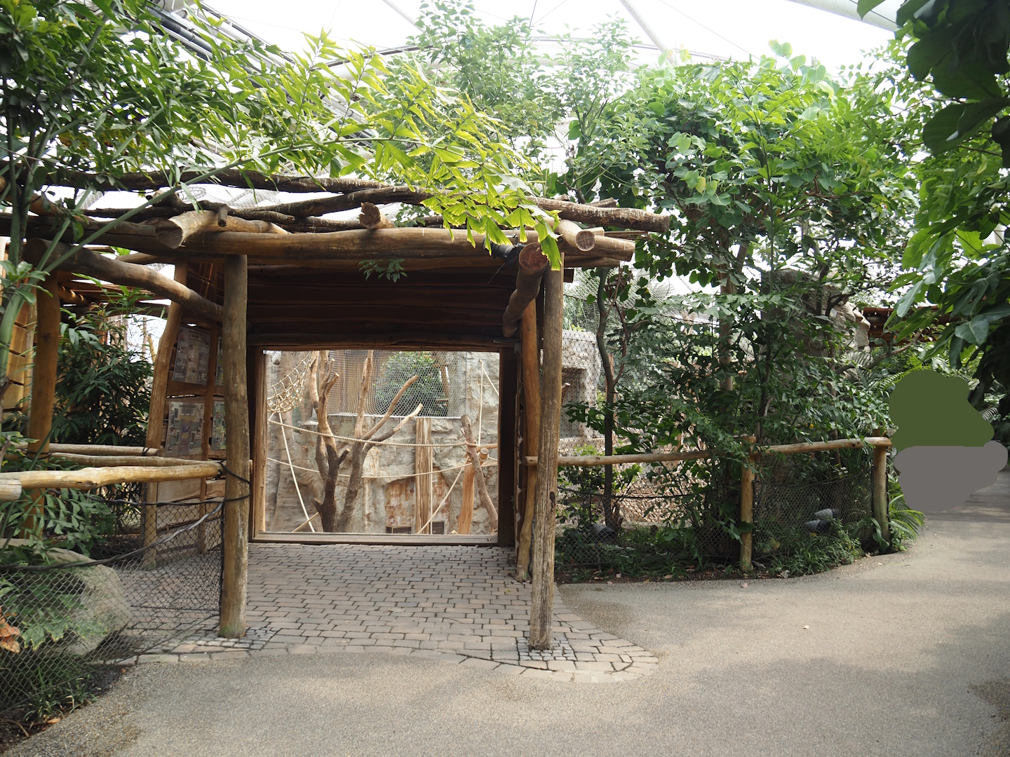 Tropenparadies/Asian greenhouse - Sumatran orangutan and Hanuman langur indoor exhibit viewing area, 2024-08-05