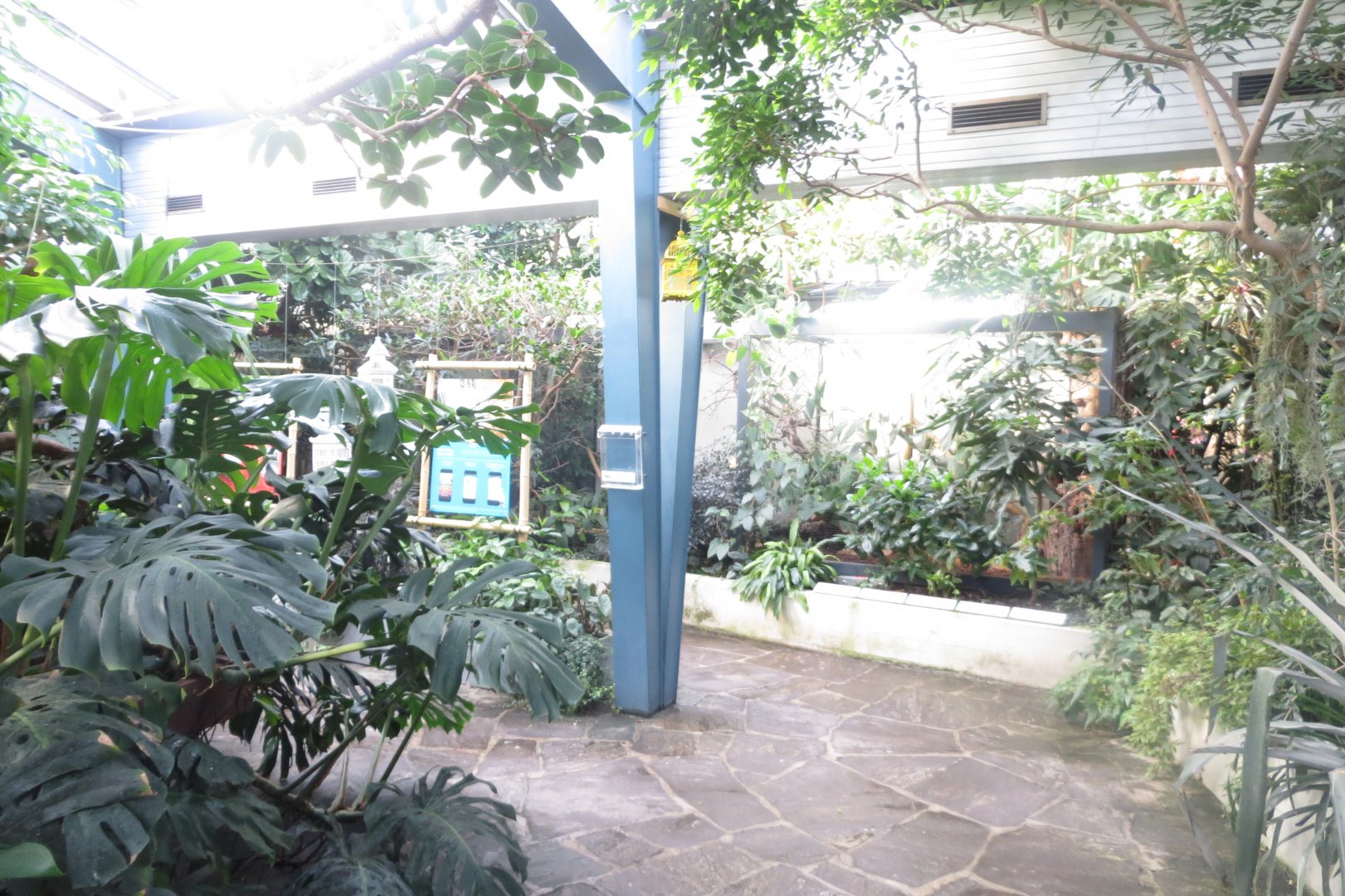 Tropenvoegel House - aviary 011218