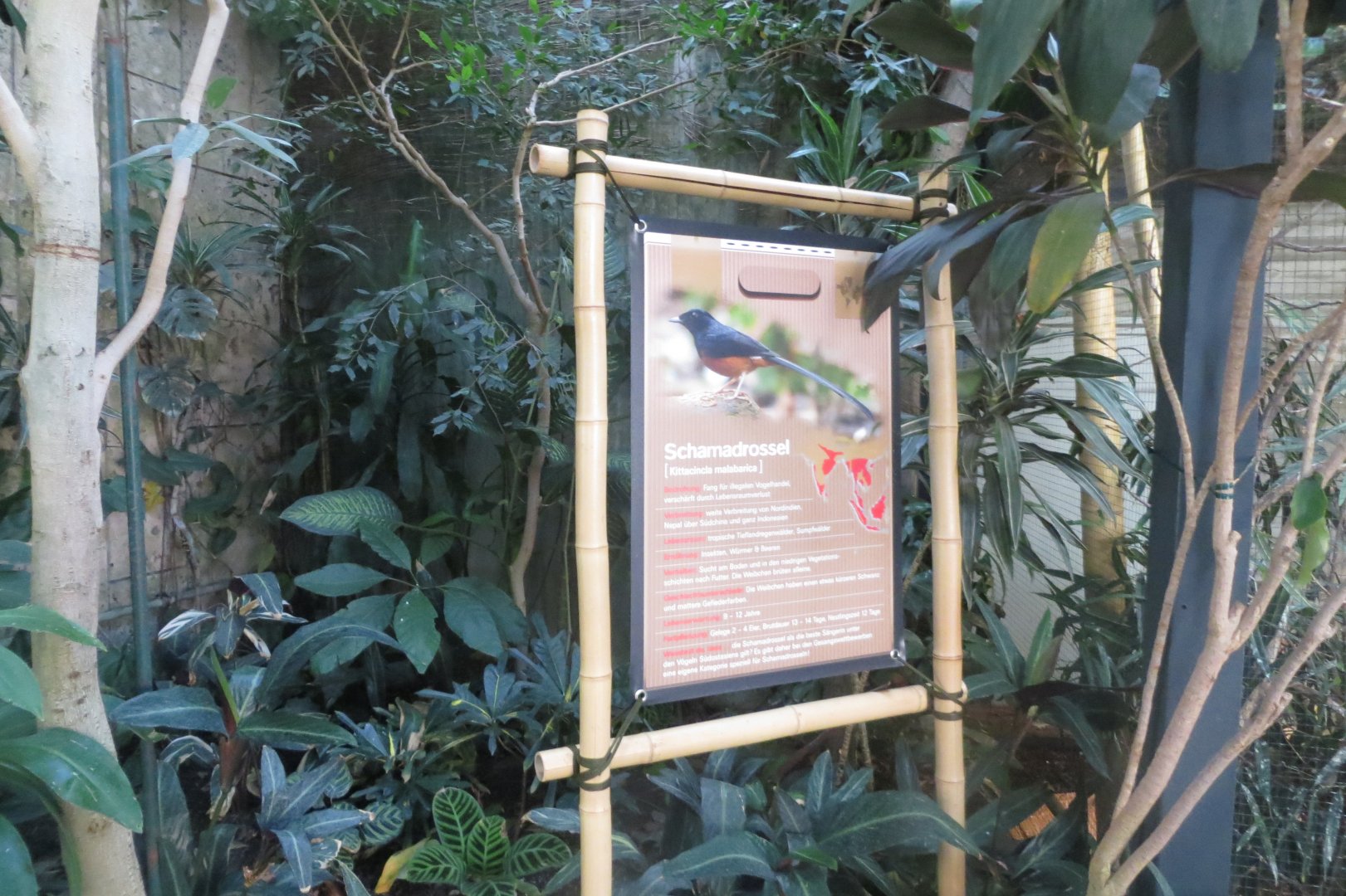 Tropenvoegel House - example signage 011218