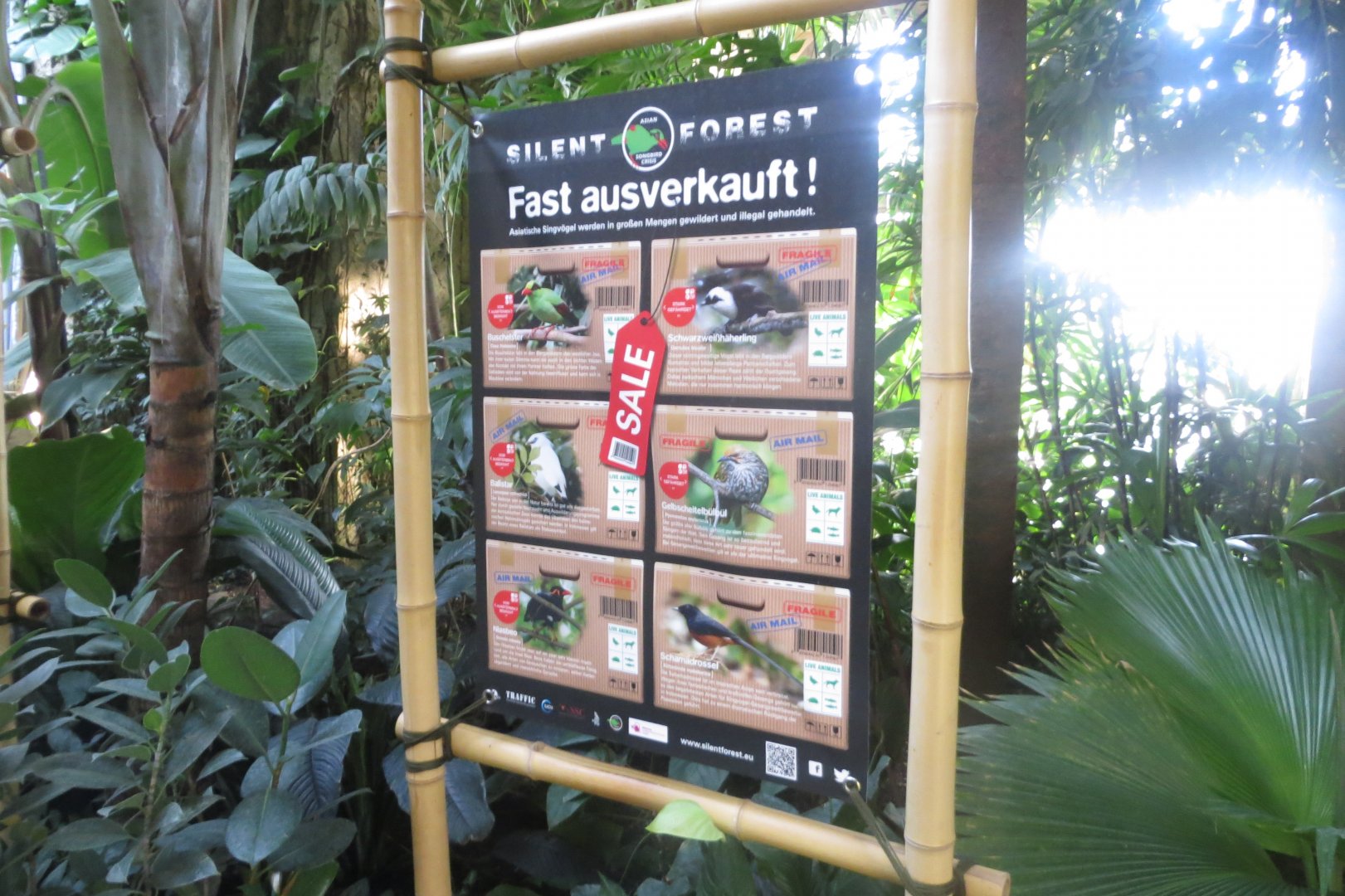 Tropenvoegel House - Silent Forest sign 011218