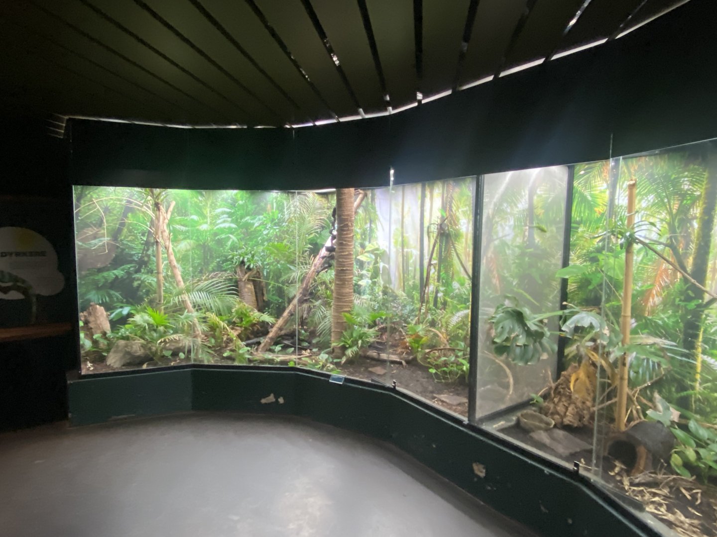 Tropezoo - Mixed exhibit 261124